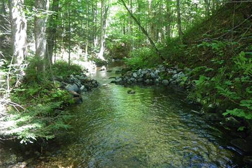 Restauration d'habitats pour l'omble fontaine dans Portneuf