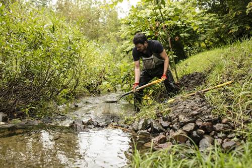 La rivière Beauport : un habitat naturel réaménagé pour l’omble de fontaine